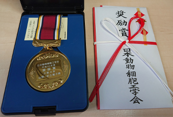 山野範子助教が、7月3日に日本動物細胞工学会奨励賞を受賞しました。