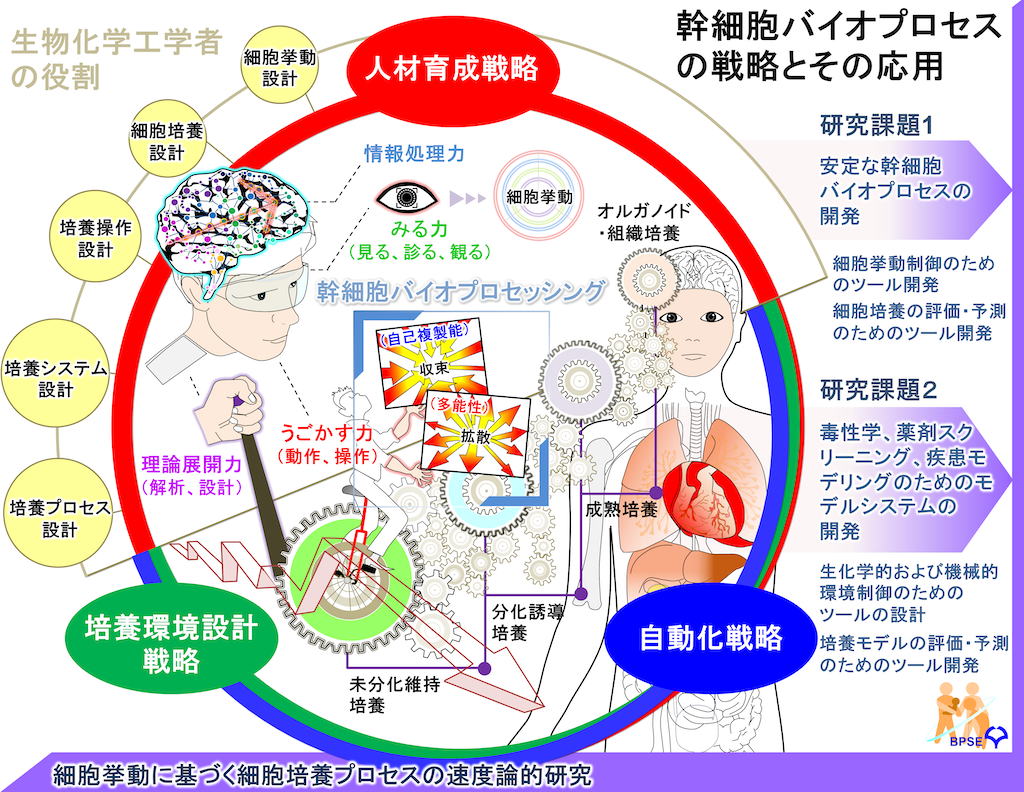 研究概要 生物プロセスシステム工学研究室